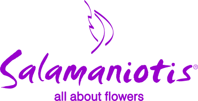 logo-3